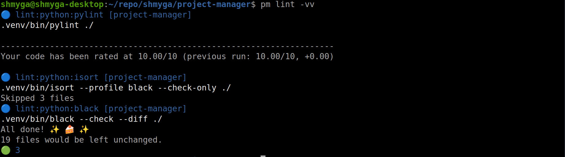 pm lint